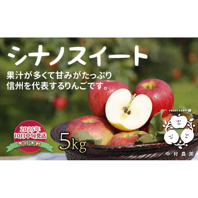 先行予約 りんご 5kg 樹上熟成 シナノスイート 林檎 リンゴ 果物 くだもの フルーツ 旬の果物 旬のフルーツ 季節の果物 季節のフルーツ 美味しい果物 長野県産 長野県産りんご 信州 長野 長野県 長野市