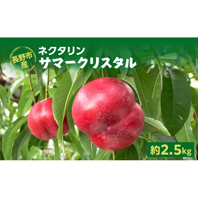 長野市産ネクタリン「サマークリスタル」約2.5kg 