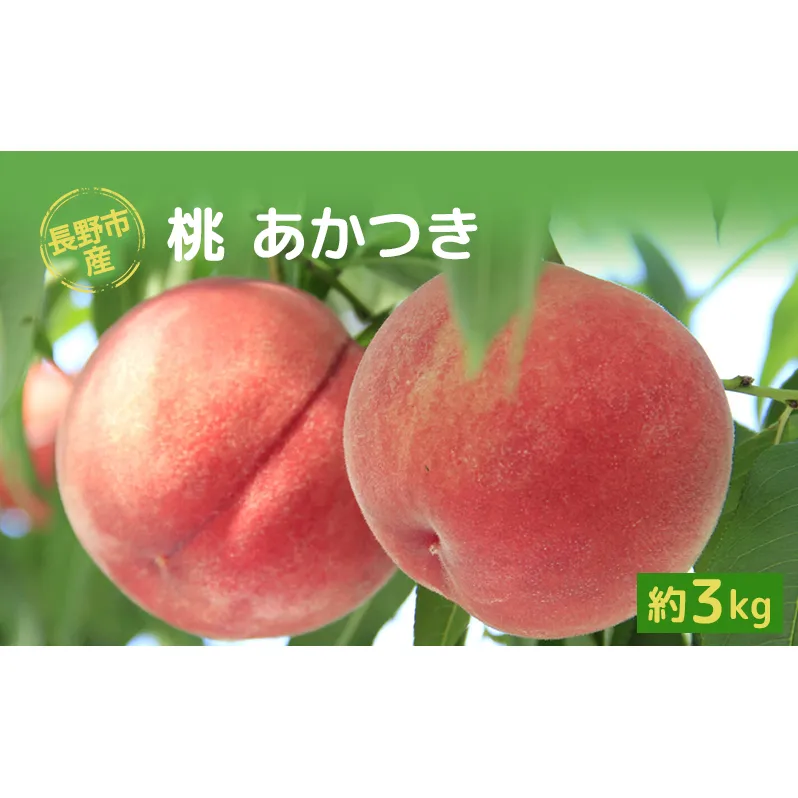 長野市産桃「あかつき」約3kg 