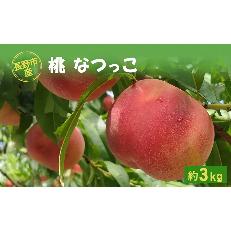 長野市産桃「なつっこ」約3kg 