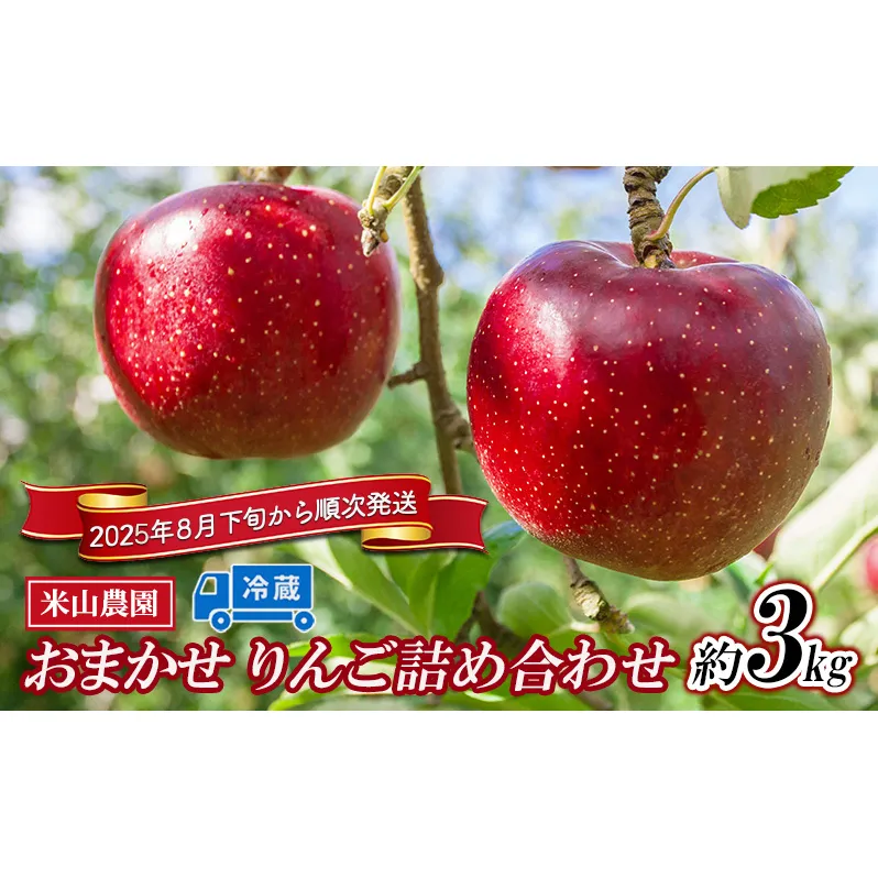 りんご 米山農園のおまかせりんご約3kg 2024年8月下旬から順次発送 シナノリップ さんつがる シナノドルチェ 紅玉 セット 長野県 長野市