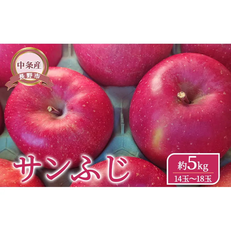 【長野市】【中条産】【りんご】サンふじ約5kg（14玉～18玉）信州りんご リンゴ 林檎 果物 くだもの フルーツ 信州 長野