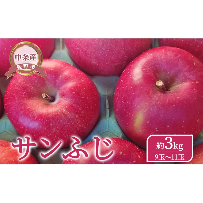 【長野市】【中条産】【りんご】サンふじ約3kg（9玉～11玉）信州りんご リンゴ 林檎 果物 くだもの フルーツ 信州 長野