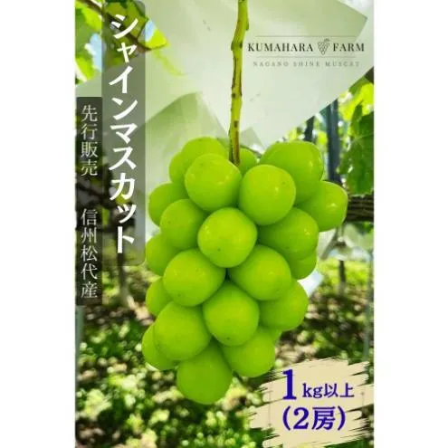 ぶどう シャインマスカット1kg以上 果物 信州 長野県 長野市 