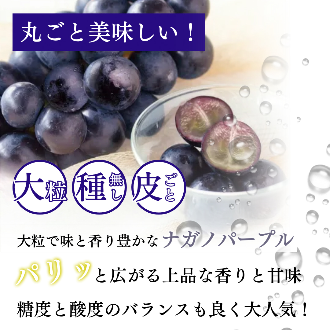 ぶどう 先行予約 長野市産 ナガノパープル 約1kg 果物 ブドウ