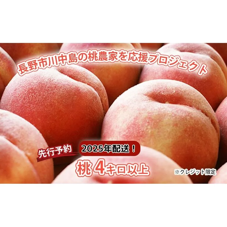 【先行予約】長野市川中島の桃農家を応援プロジェクト　2025年配送！桃４キロ以上　※クレジット限定 果物／もも モモ 