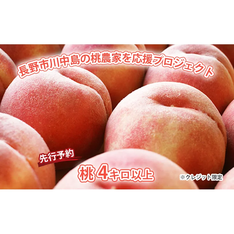 【先行予約】長野市川中島の桃農家を応援プロジェクト　2026年配送！桃４キロ以上　※クレジット限定 果物／もも モモ