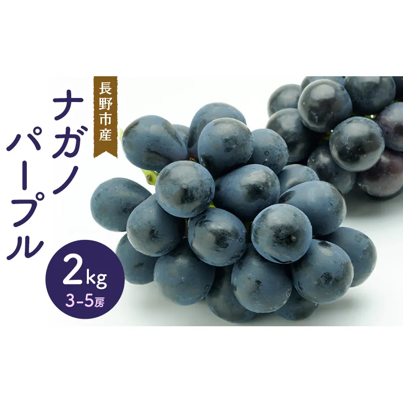 ナガノパープル 2kg 3-5房 長野市産 フルーツ 果物 ぶどう ※配送不可:沖縄、離島