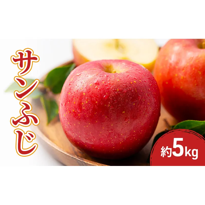 2026年産サンふじ 5kg 果物 フルーツ りんご 長野県