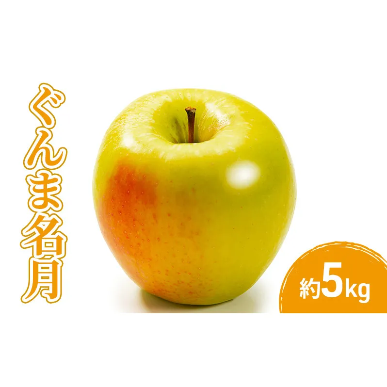 2026年産ぐんま名月5kg 果物 フルーツ りんご 長野県