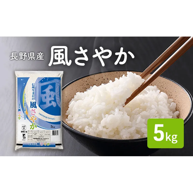令和7年産 長野県産 風さやか 5kg お米 