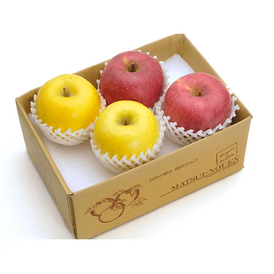 信州小諸　松井農園のサンふじ・シナノゴールド詰合せ　約2kg 果物類・林檎・りんご・リンゴ