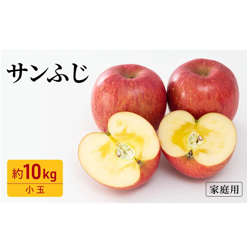 りんご サンふじ 家庭用 小玉 約10kg フルーツ 果物 林檎 甘い 訳あり