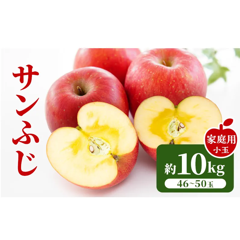 【2026年11月下旬～発送予定】 先行予約 訳あり りんご サンふじ 小玉 約10kg フルーツ 果物 林檎 甘い 訳あり