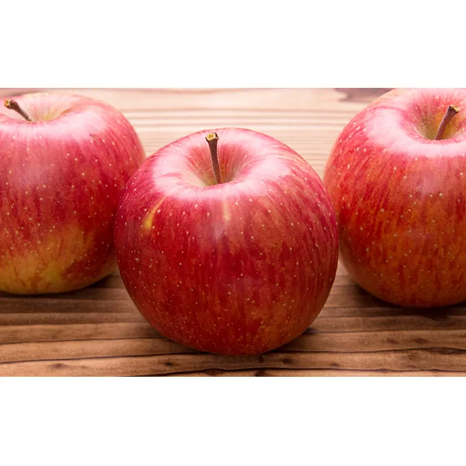訳あり 長井農園のりんご 小玉 サンふじ 約5kg 23玉 長野 小諸 果物類 林檎 リンゴ