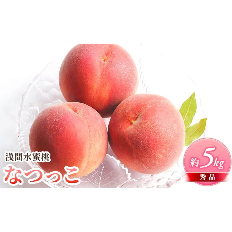 ふるさと納税 2025年発送 浅間水蜜桃 もも なつっこ 秀品 約5kg 長野県産 小諸市 桃 果物 もも フルーツ モモ 果肉