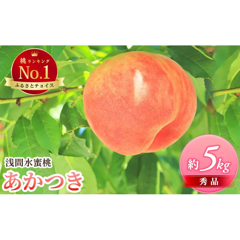 ふるさと納税  2025年発送 浅間水蜜桃 もも あかつき 秀品 約5kg 長野県産 小諸市 桃 果物 フルーツ モモ 果肉 