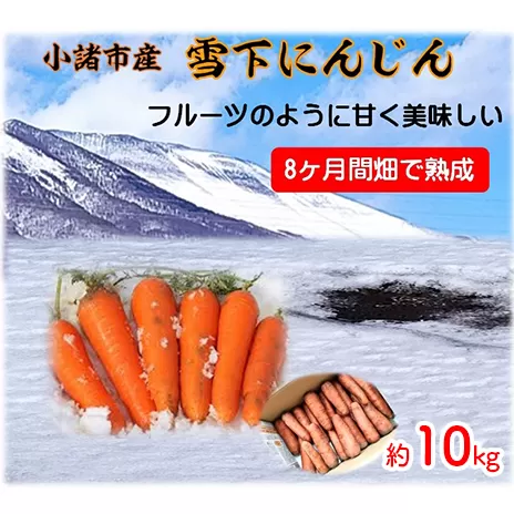 小諸産 雪下にんじん（土つき）約10kg 野菜 根菜 フルーツのような甘さ みずみずしい 長期保存可 食材 直送 産地直送 食べ物 食品 調理 料理 