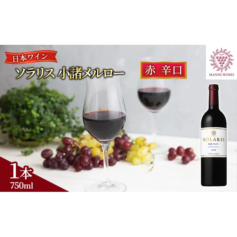 日本ワイン ソラリス 小諸 メルロー ワイン 赤ワイン マンズワイン 酒 お酒 洋酒 果実酒 ぶどう酒 長野 長野県小諸市 