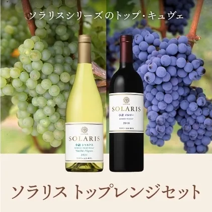ソラリス トップレンジセット ワインセット ワイン 赤ワイン 白ワイン シャルドネ メルロー 果実味 酸味 トースト香 スパイス 果実味 タンニン 