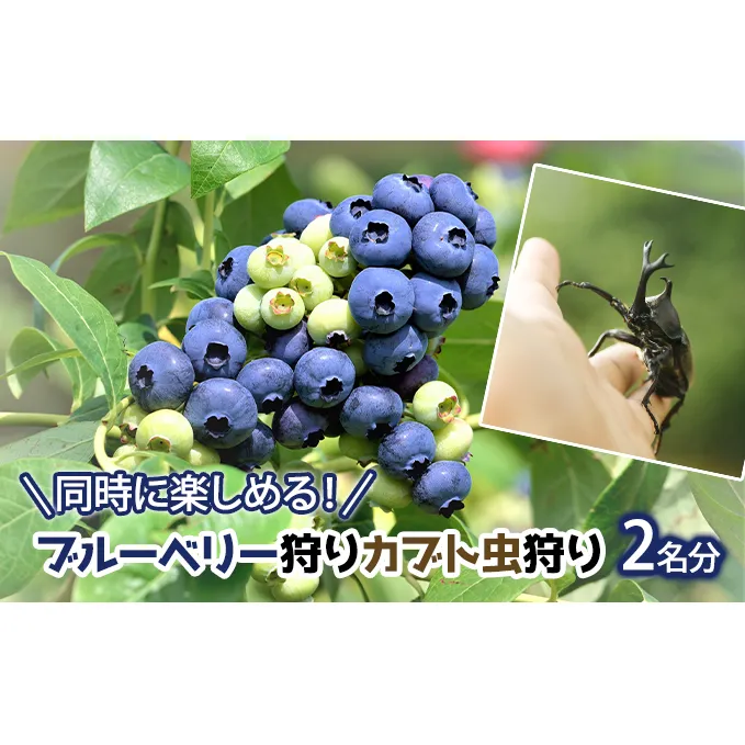 同時に楽しめる!ブルーベリー狩り・カブト虫狩り 長野県下最大級 体験チケット