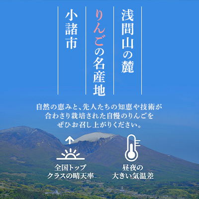 信州小諸産 サンふじ りんご 家庭用 小玉 約10kg 長野県産 果物 信州小諸産 サンふじ りんご 家庭用 小玉 約10kg 長野県産 果物