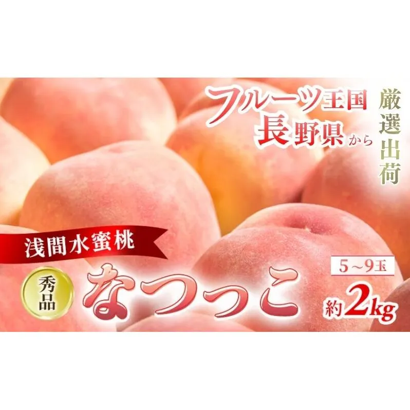【2026年8月中旬～発送予定】 先行予約 「浅間水蜜桃プレミアム」 もも なつっこ 秀品 約2kg 5～9玉 贈答品 ふるさと納税 果物 桃 フルーツ モモ 果肉  長野県産 小諸市