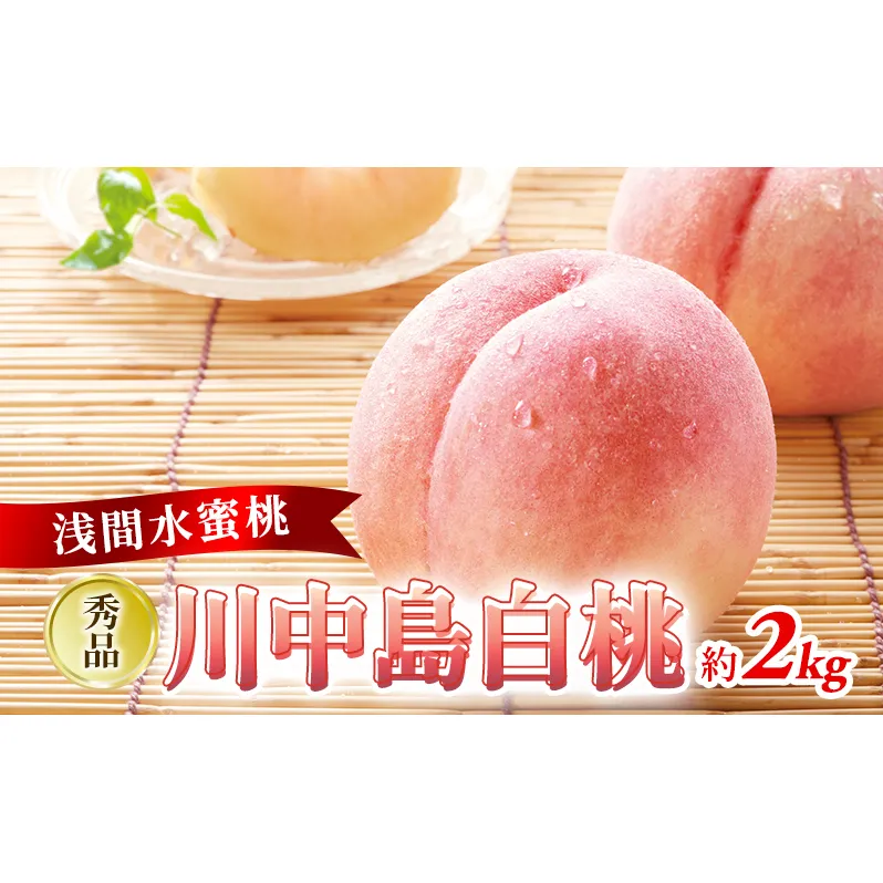 2026年発送 先行予約 「浅間水蜜桃プレミアム」 もも 川中島白桃 秀品 約2kg 5～9玉 ふるさと納税 果物 フルーツ モモ 果肉 デザート 酸味少なめ 硬め 長野県産 小諸市
