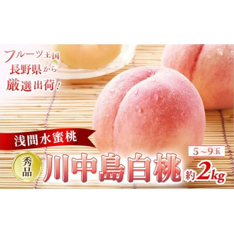 【2026年8月中旬～発送予定】 先行予約 「浅間水蜜桃プレミアム」 もも 川中島白桃 秀品 約2kg 5～9玉 贈答品 ふるさと納税 果物 フルーツ モモ 果肉 デザート 酸味少なめ 硬め 長野県産 小諸市