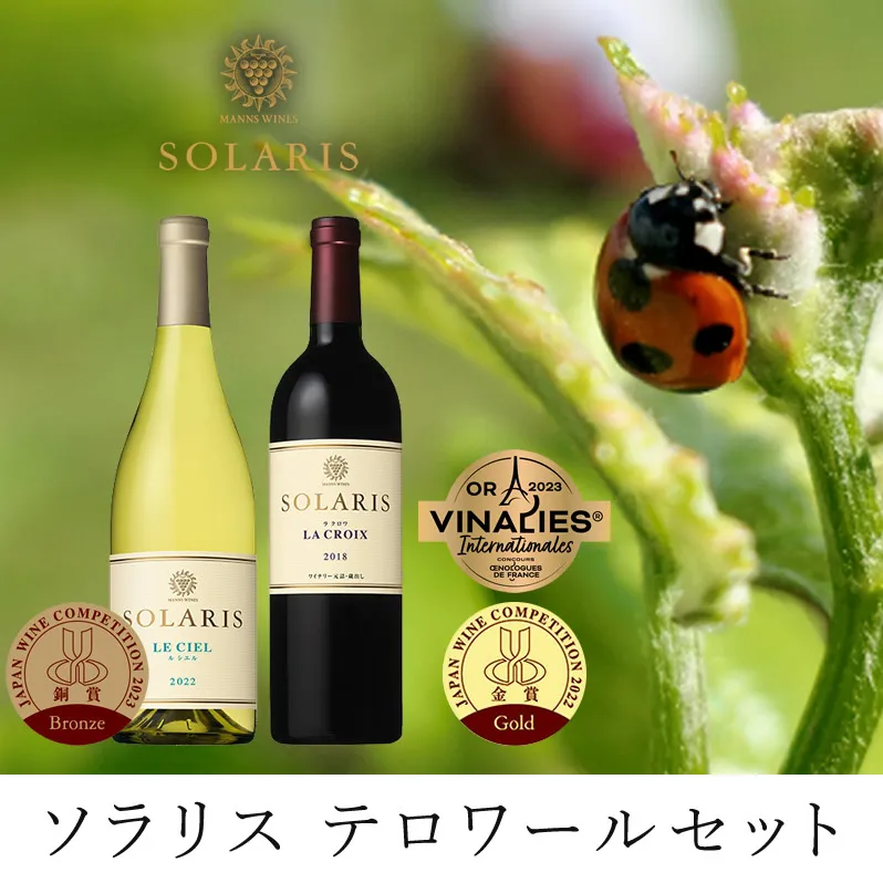 テロワールセット(紅白セット)  ワイン お酒 赤ワイン 白ワイン ワインセット 果実味 しっかりしたタンニン 