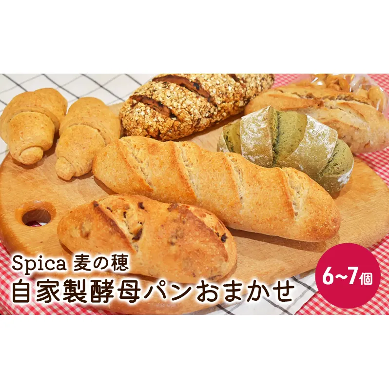 自家製酵母パンおまかせ6～7個セット ベーカリー ドイツ こだわり 美味しい 完全自給 植物性乳酸菌 食べやすい i蒸し焼き しっとり 酸味 冷凍 おすすめ 