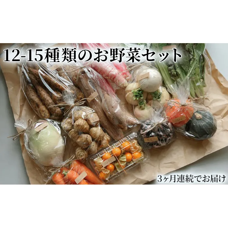 野菜の定期便 てのひら小諸 12～15種類 3ヶ月連続お届け