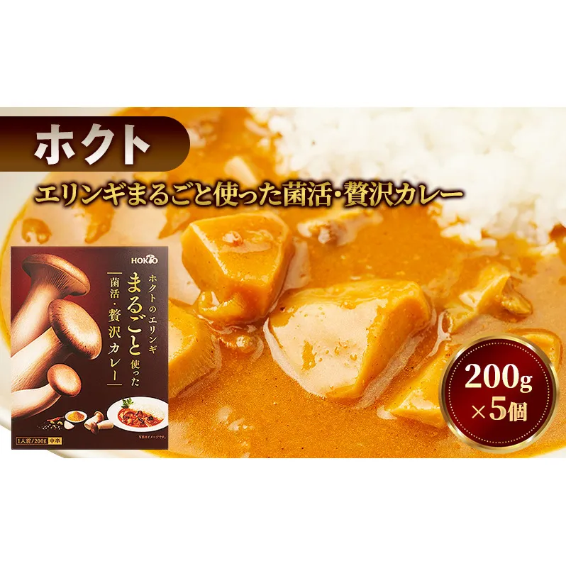 ホクトのエリンギまるごと使った菌活・贅沢カレー 5個セット 