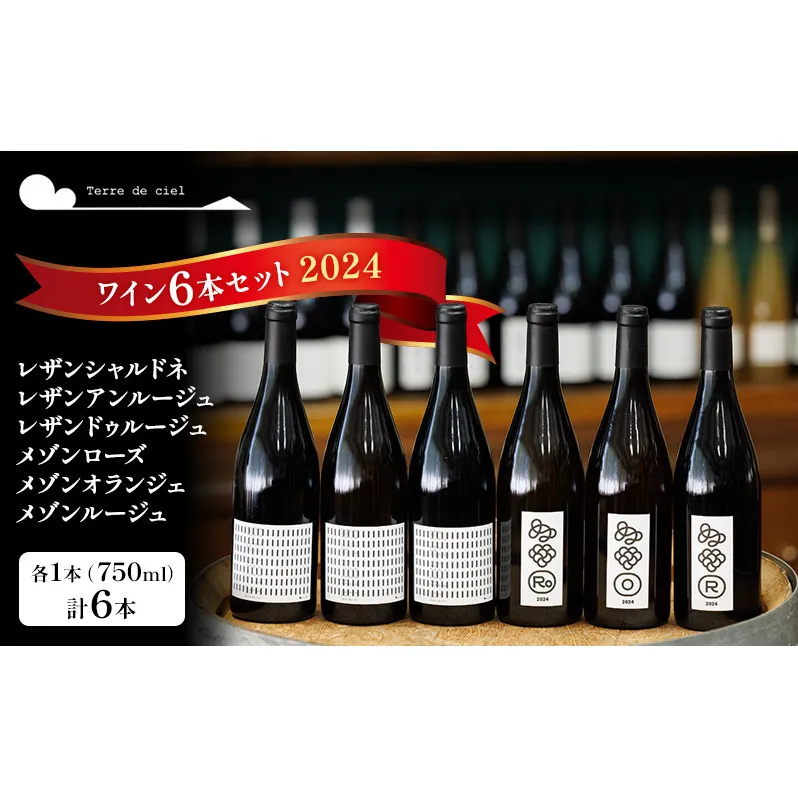 ワイン 6本セット 赤ワイン 白ワイン お酒 酒 アルコール 長野県 小諸市 小諸 ギフト プレゼント