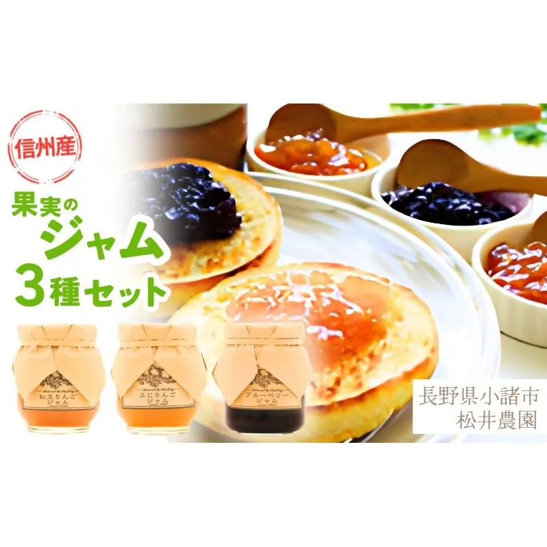 ジャム【ジャムセット】りんご リンゴ りんごジャム 紅玉 ふじ ブルーベリージャム フルーツジャム 完熟 アップル 果物 ペースト トッピング トースト ヨーグルト 信州 長野