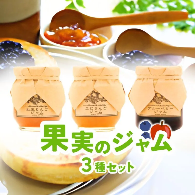 ジャム【ジャムセット】りんご リンゴ りんごジャム 紅玉 ふじ ブルーベリージャム フルーツジャム 完熟 アップル 果物 ペースト トッピング  トースト ヨーグルト 信州 長野