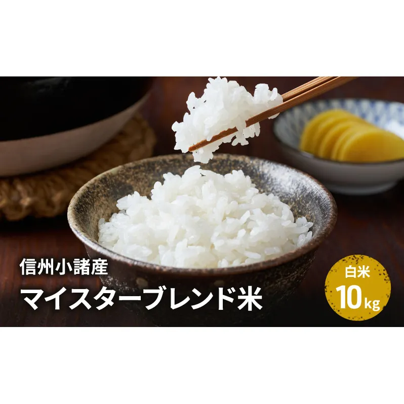 米 信州小諸産マイスターブレンド米【白米／10kg】  コシヒカリ あきたこまち ひとめぼれ コメ お米 ごはん ご飯 信州 長野県 小諸市