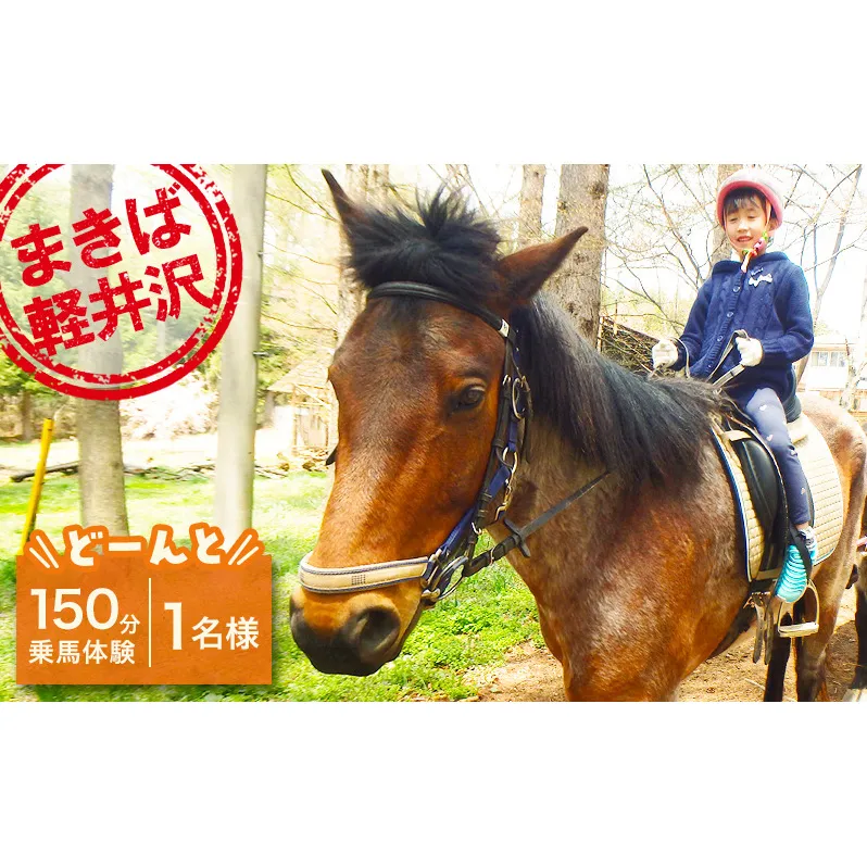 乗馬 体験 まきば軽井沢 どーんと150分 乗馬体験 1名様 長野 信州 小諸 大自然 体験チケット 