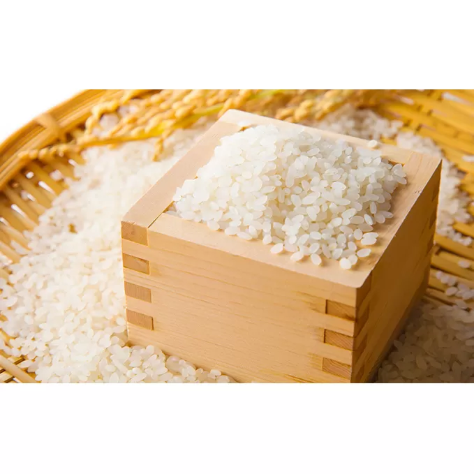 小諸産 こしひかり 5kg 長野 信州 コシヒカリ 精米 美味しいお米 お取り寄せ おこめ 白米 