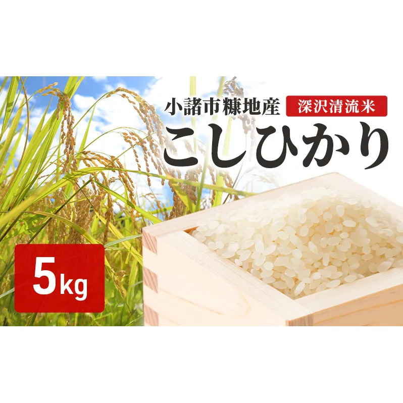小諸市糠地産こしひかり「深沢清流米」5kg 長野 信州 コシヒカリ 精米 美味しいお米 お取り寄せ おこめ 白米