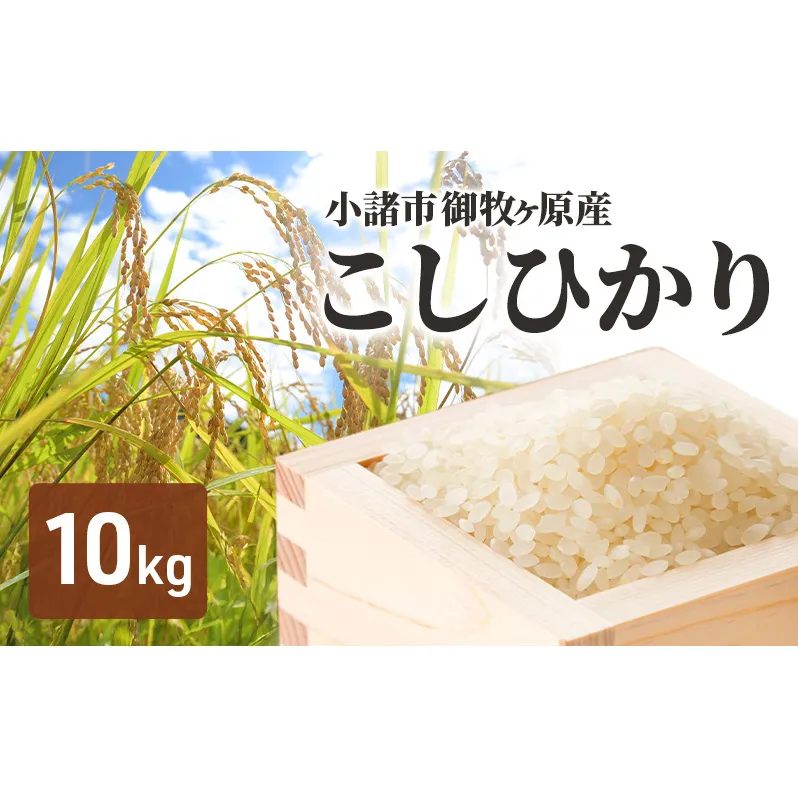 小諸 御牧ヶ原産 こしひかり 10kg　長野 信州 コシヒカリ 精米 美味しいお米 お取り寄せ おこめ 白米