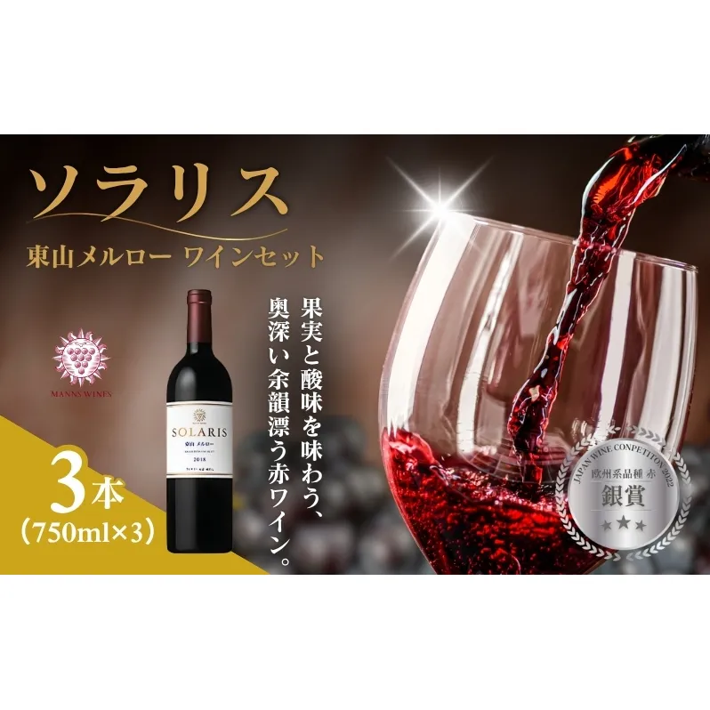 ソラリス 東山メルロー ワインセット 750ml×3本 赤ワイン お酒 ぶどう酒 晩酌 おうちディナー 飲み物 家飲み 宅飲み 果実香 複雑 おだやかな酸味 タンニン