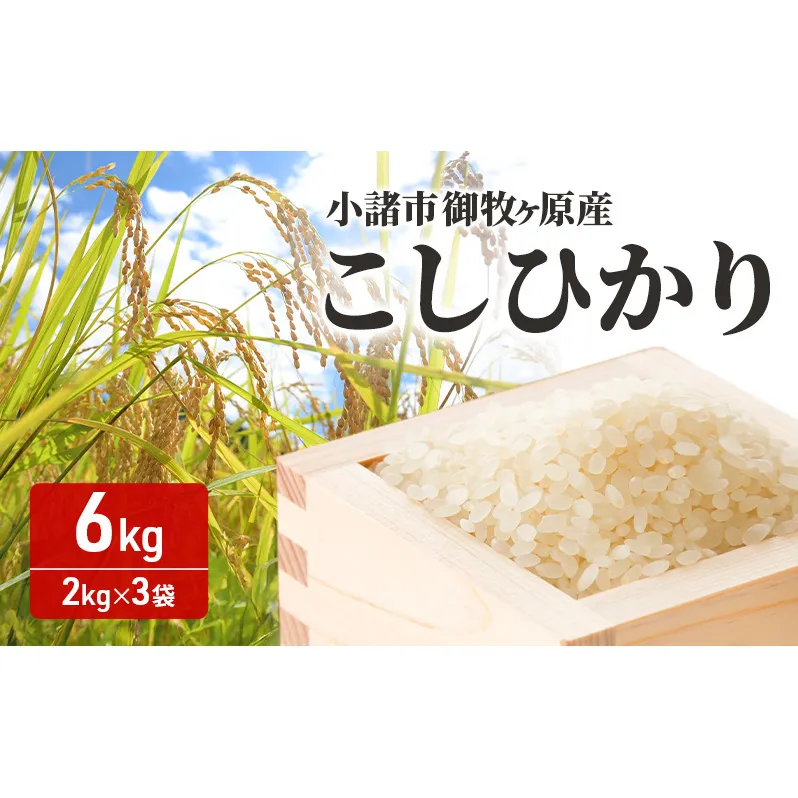 小諸市 御牧ヶ原産こしひかり 　6kg（2kg×3袋）長野 信州 コシヒカリ 精米 美味しいお米 お取り寄せ おこめ 白米