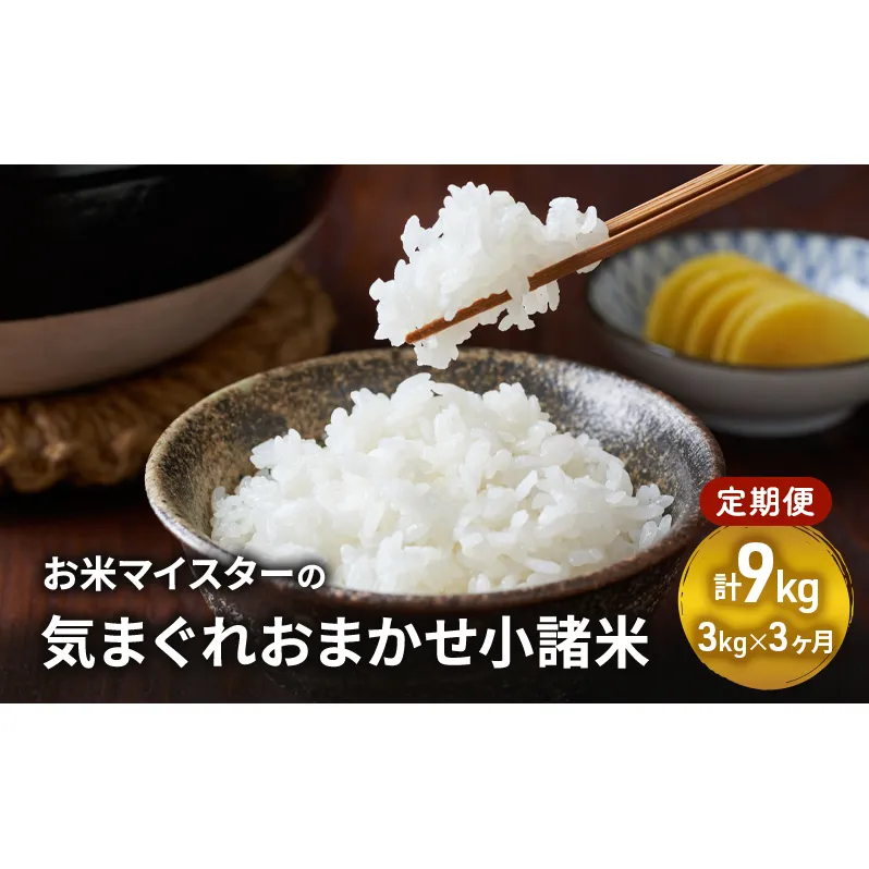 お米マイスターおすすめ小諸米 精米 3kg 3ヶ月定期便 信州 長野 ごはん ご飯 コメ コシヒカリ あきたこまち つきあかり 風さやか ひとめぼれ ゆうだい21