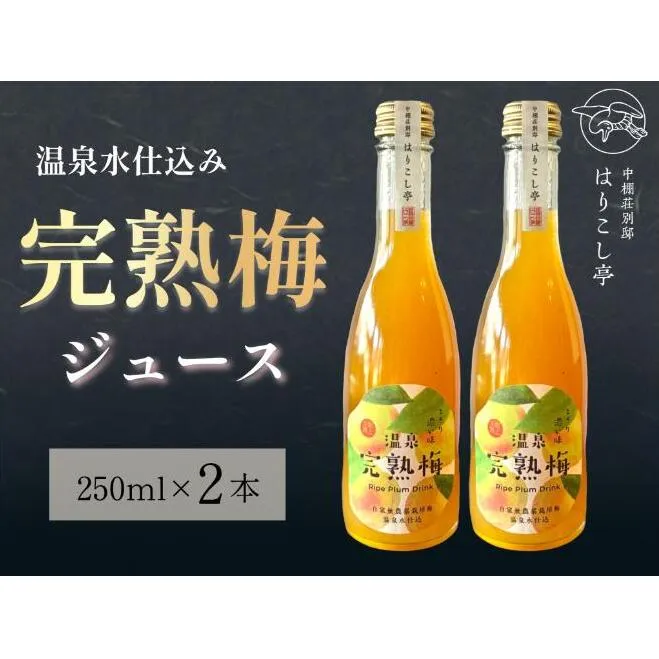 梅ジュース 250ml×2本 中棚温泉 長野 信州 小諸
