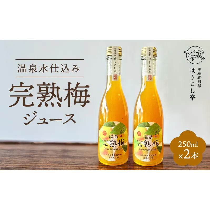 梅ジュース　250ml×2本　中棚温泉　長野　信州　小諸