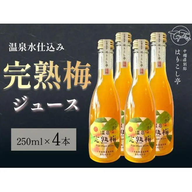 梅ジュース　250ml×4本　中棚温泉　長野　信州　小諸