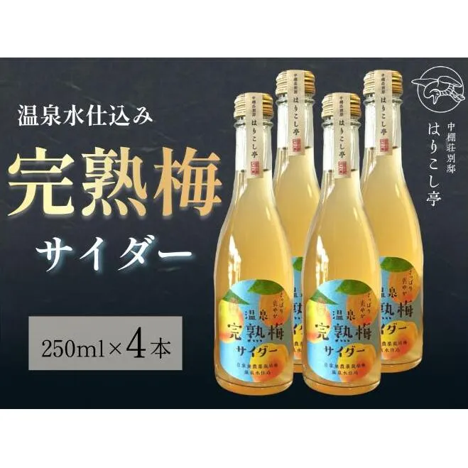 梅サイダー　250ml×４本　中棚温泉　長野　信州　小諸