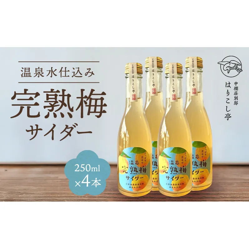 梅サイダー　250ml×４本　中棚温泉　長野　信州　小諸
