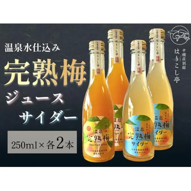 梅ジュース＆梅サイダー　250ml×各種２本　中棚温泉　長野　信州　小諸